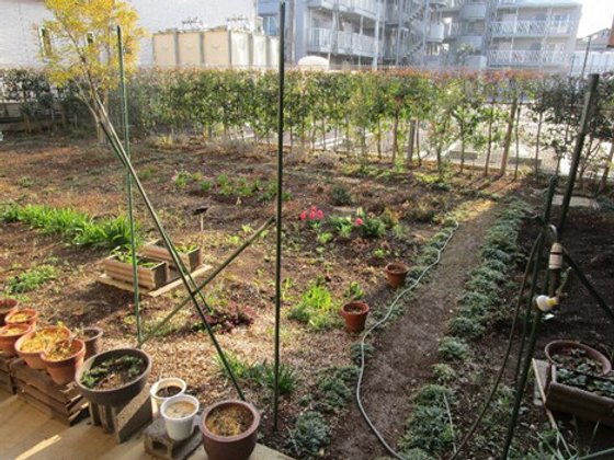 イルミーナかわごえ