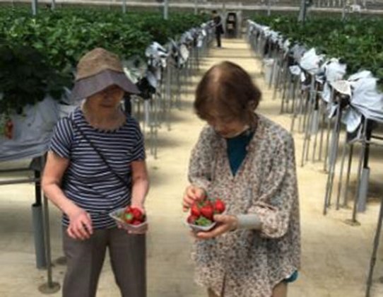 イルミーナかわごえ