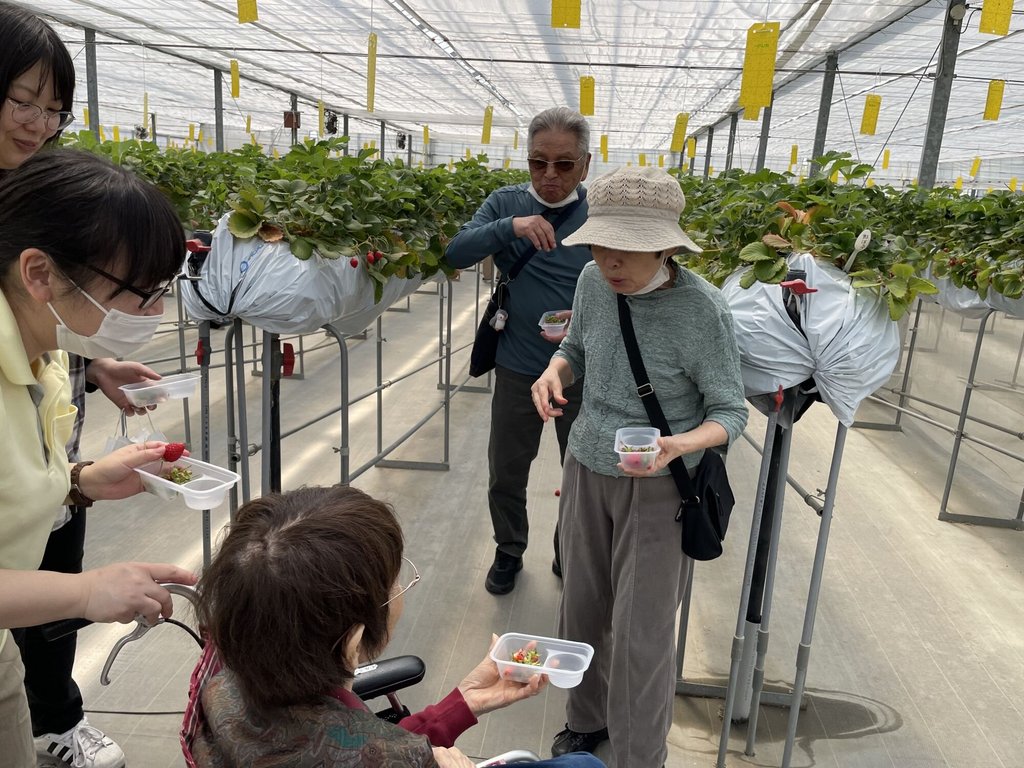 イルミーナおおみや