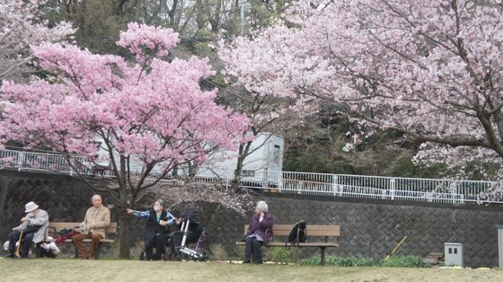 イルミーナやまと