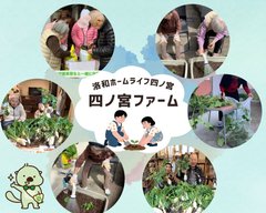 四ノ宮ファーム🌱