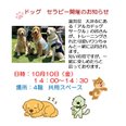 🐶 ドッグセラピー開催予定