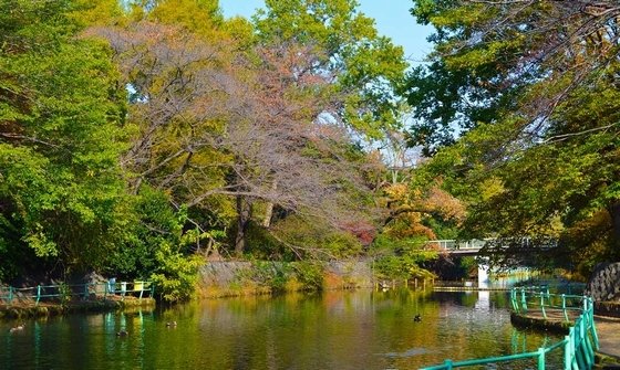 そんぽの家S 東伏見