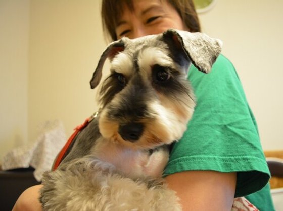 そんぽの家S 奈美木成増