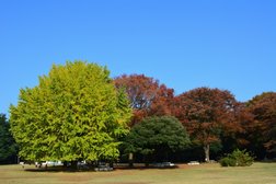 光が丘公園