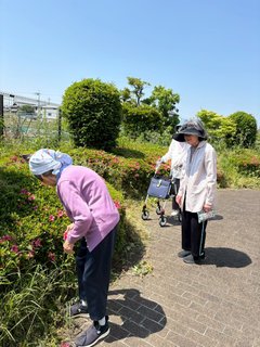 お散歩