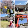 春のお花見ドライブ🚗🌸│アルファリビング京都北山
