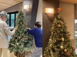 クリスマスツリーの飾りつけ🎄