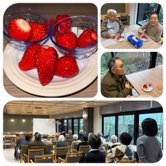 春の味覚♪いちごの食べ比べ会 | アルファリビング京都西ノ京