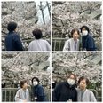 訪問看護サービスの歩行リハビリ🚶│アルファリビング京都西ノ京