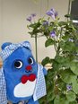 そろそろ咲きそうです(^^♪