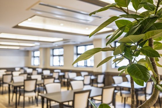 アルファリビング神戸本山