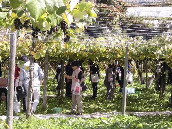 中銀ライフケア札幌〔あいの里1・2号館〕