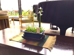 ロビーに咲いた可憐な白鷺 - ご入居者様の愛情あふれる作品