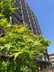 SJR下大利