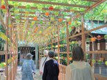 「夏のドライブツアー」