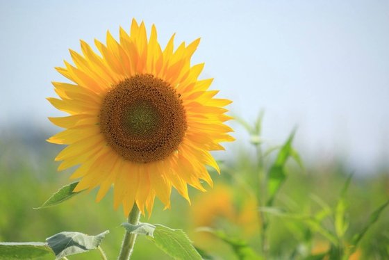 はっぴーらいふ小野の詳細情報 費用 評判 兵庫県小野市の介護付き有料老人ホーム Lifull介護 旧home S介護