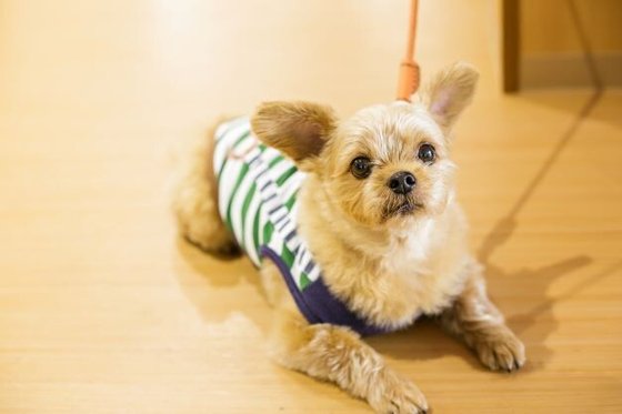 オメガプレイス なごみ