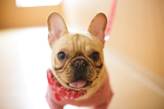 オメガプレイス なごみ