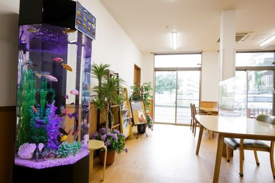 オメガプレイス なごみ