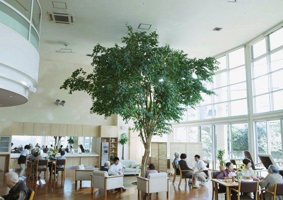 ホスピタルメント桜十字