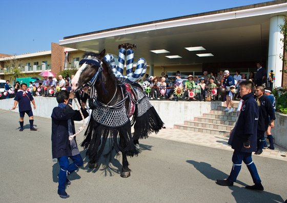 ホスピタルメント桜十字