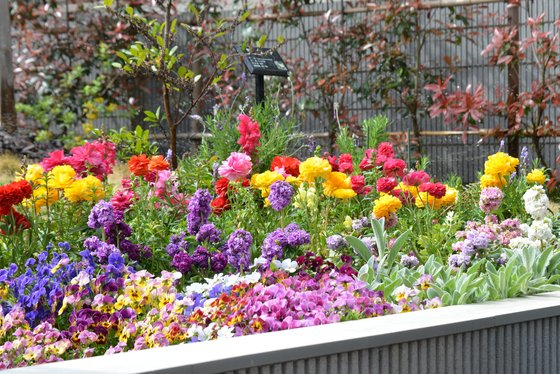 ホスピタルメント世田谷八幡山