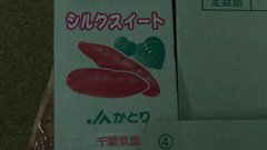 焼き芋大会?の素材