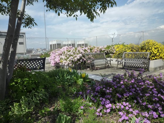 ガーデンハウス勝山