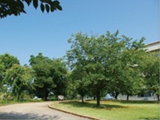 ホスピタルメントさくら西館