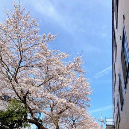 エスケア ザ グランド湖南リゾート(ESCARE THE GRAND)