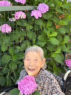 ✿アジサイ満開✿