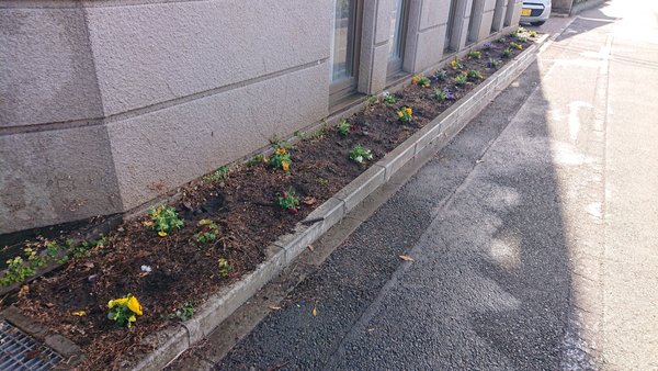 2 1 花壇を作りました サンガーデン湘南 アネックス 神奈川県平塚市 Lifull介護 旧home S介護 2 1 花壇を作りました サンガーデン湘南 アネックス 神奈川県平塚市 Lifull介護 旧home S介護
