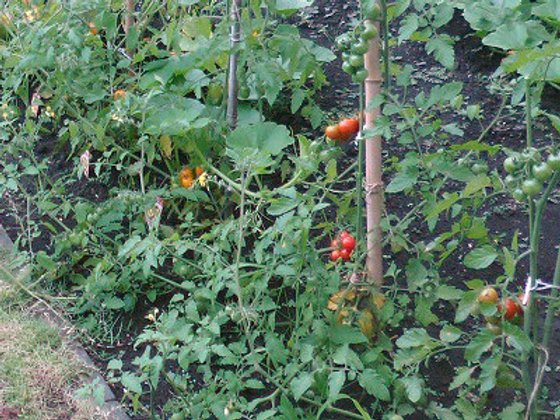 さわやかかぬま館