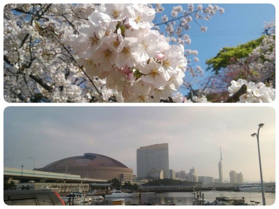 ハーヴェスト西公園