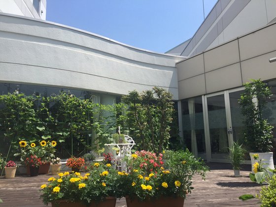 トレモンテ明日館