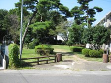 近くに緑豊かな公園が。四季折々の木々の変化も楽しめます。