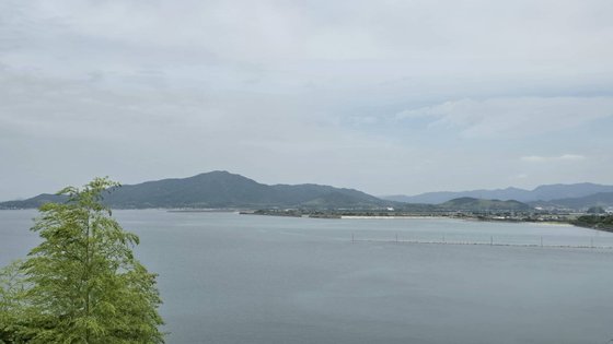 一葉