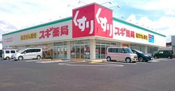 スギ薬局