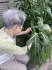 シニアライフ伏見