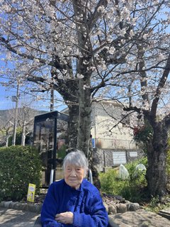 2026年お花見🌸