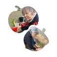 とうもろこし🌽とさつまいも🍠