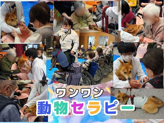 きららラポール西御所