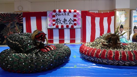 きららラポール桜並木