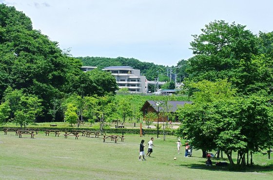 ギャラリー杜の音