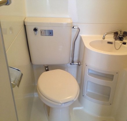 ぱらてぃす・くまた