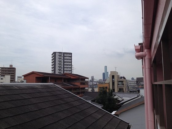 ぱらてぃす・くまた