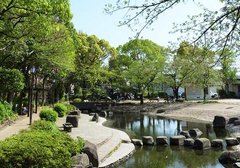 小松川境川親水公園