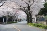 ヘーベルVillage世田谷桜丘 ～世田谷桜丘ハピネス～