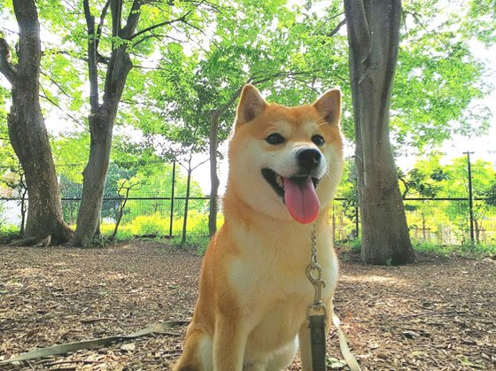 ヘーベルVillage世田谷1丁目～Paysage Clair～